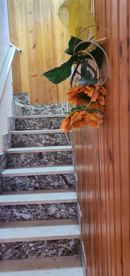 Casa Vacanza A ปุนตาเซกกา ภายนอก รูปภาพ